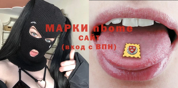 дживик Богородицк